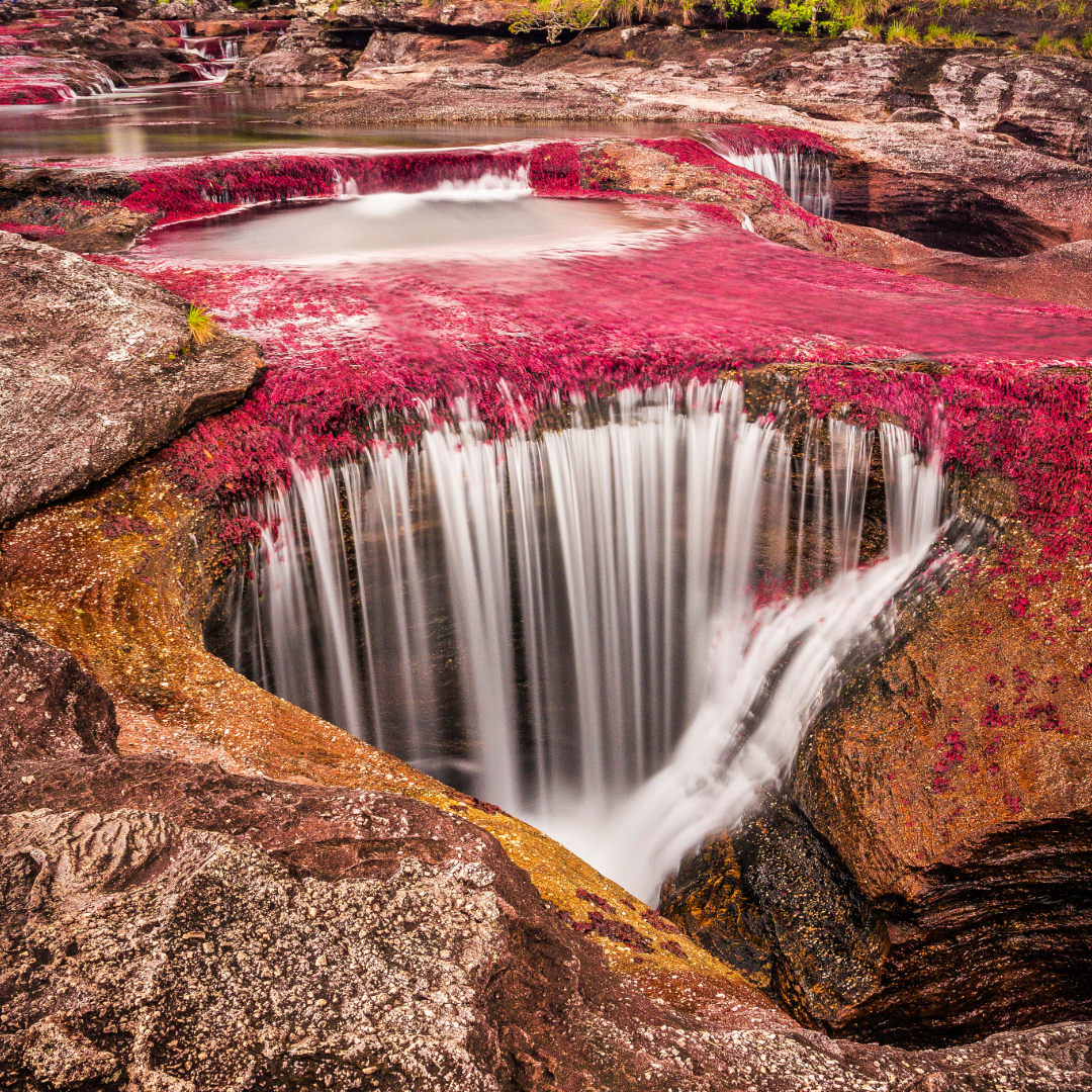 Caño Cristales en Colombia