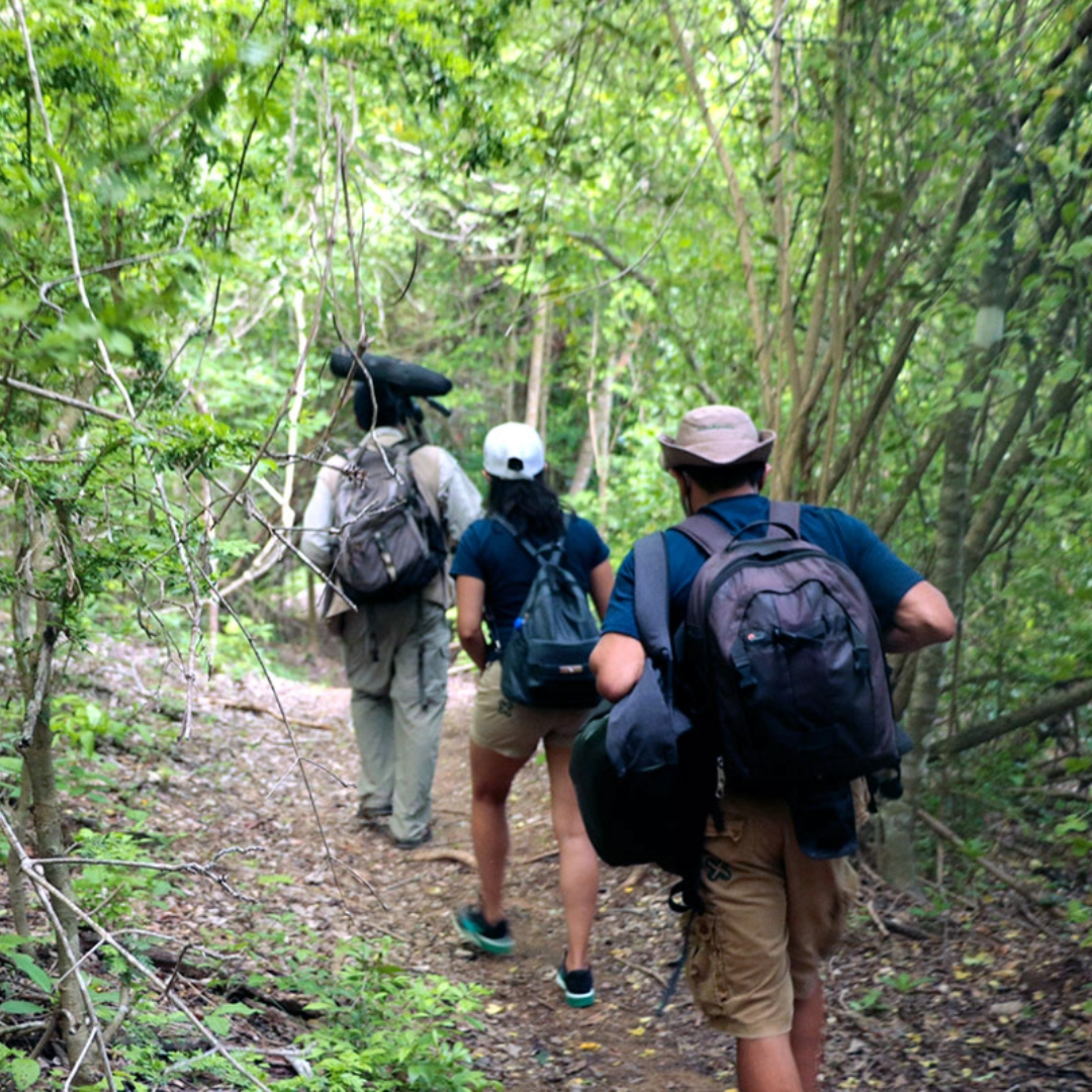 Descubrir el Parque Nacional Huatulco