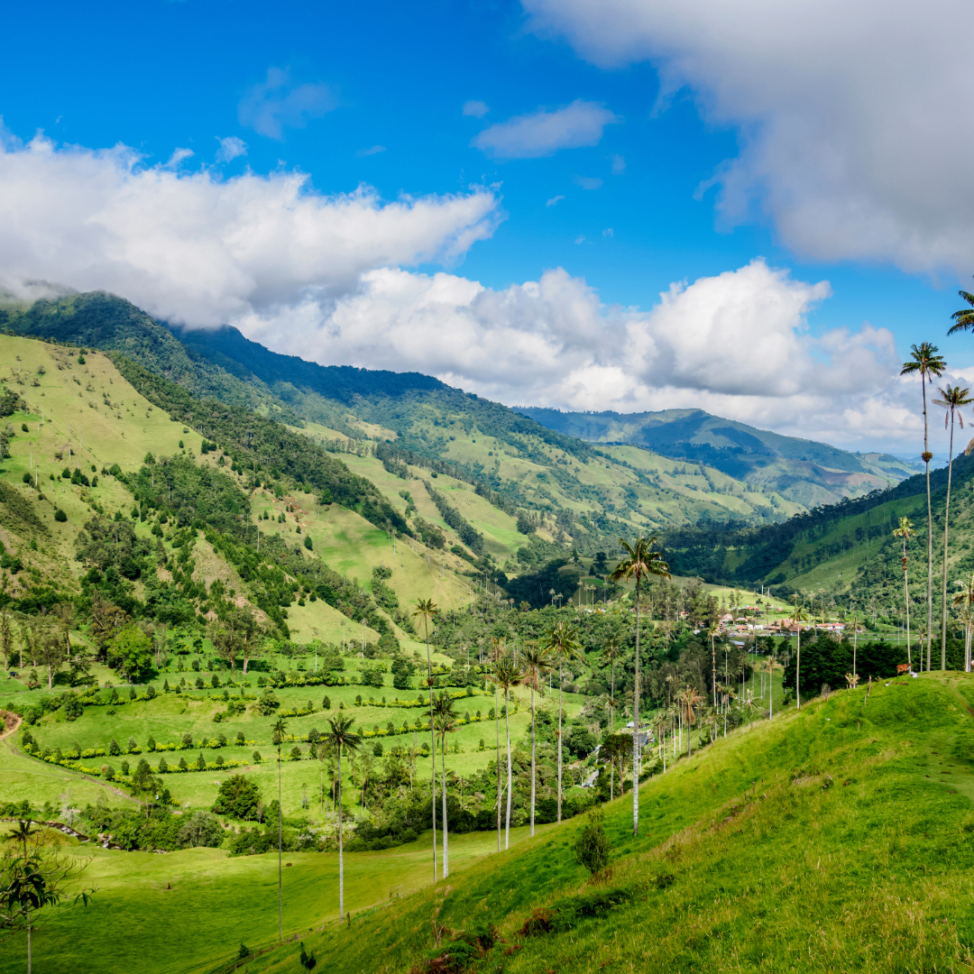 Eje Cafetero en Colombia