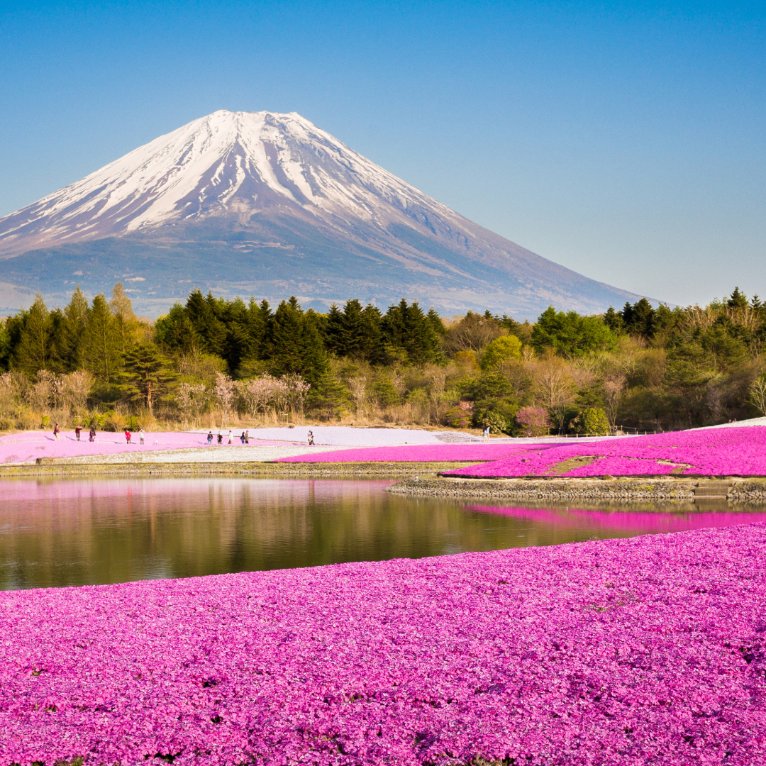 Monte Fuji