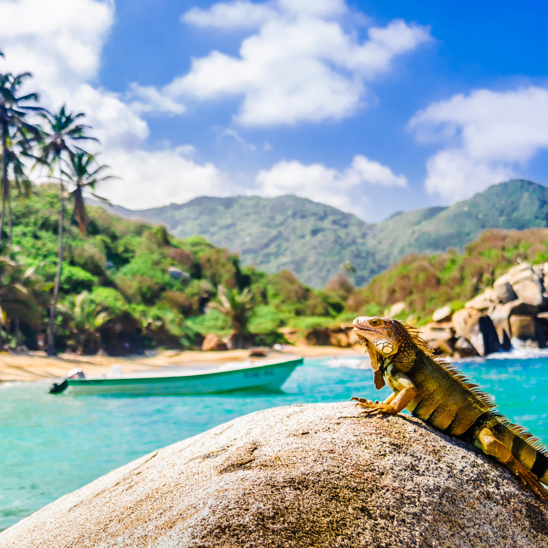 Parque Nacional Natural Tayrona en Colombia