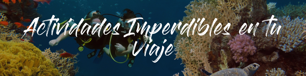 Actividades Imperdibles en tu Viaje